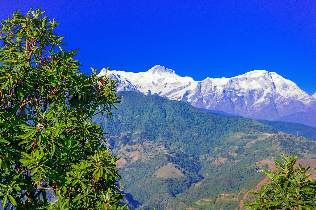 Land 6 Aana near Bagar, Pokhara, photo 4 of 4