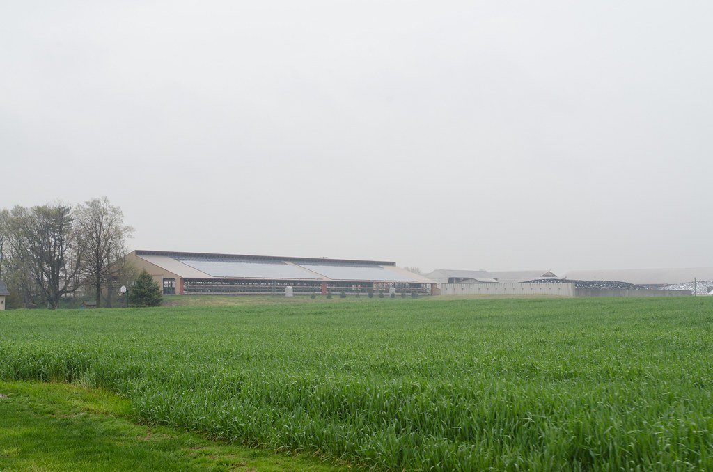 Land 3 Kattha, Biratnagar, photo 4 of 4
